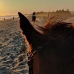 The Best Horseback Riding Trip: Wildlife, Rivers, Beach, Sunset.. - Practical Details and Tips