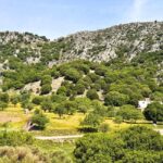 The Best Jeep Safari to Lasithi Plateau - Transportation and Overall Value