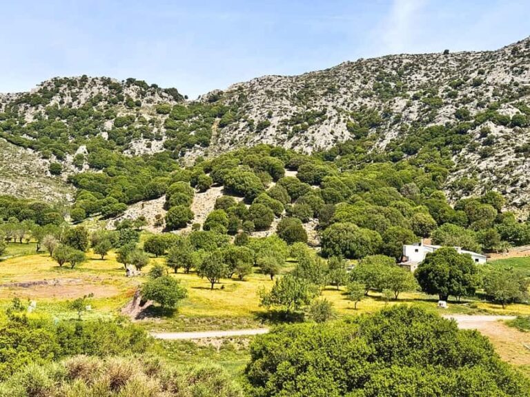 The Best Jeep Safari to Lasithi Plateau - Transportation and Overall Value