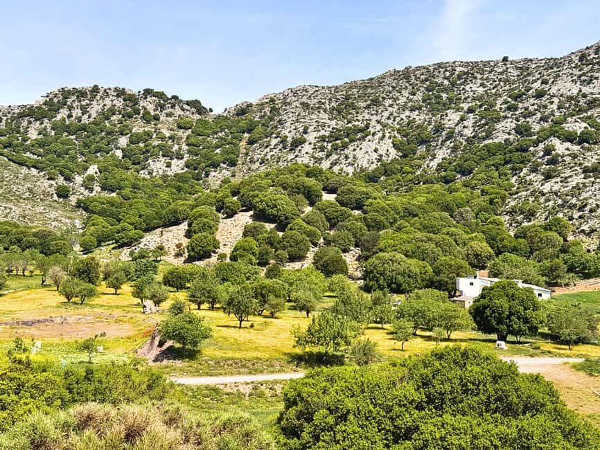 The Best Jeep Safari to Lasithi Plateau - Transportation and Overall Value