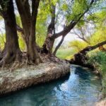 The best tour to Bustamante + Guide + transfer + tickets - Why Choose This Tour?