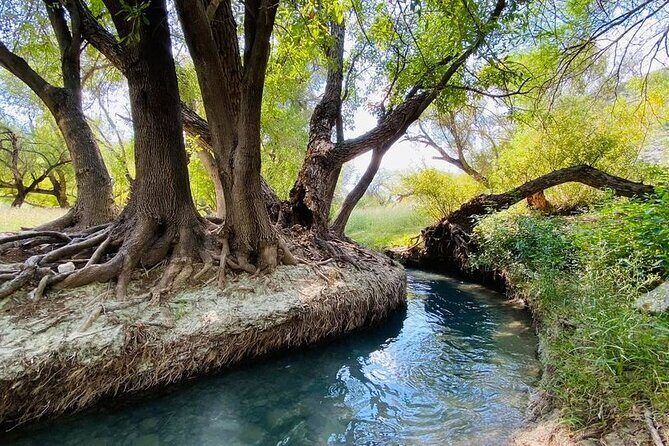 The best tour to Bustamante + Guide + transfer + tickets - Why Choose This Tour?