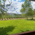 The Classic Sedona Wine Tour - The Experience in Detail
