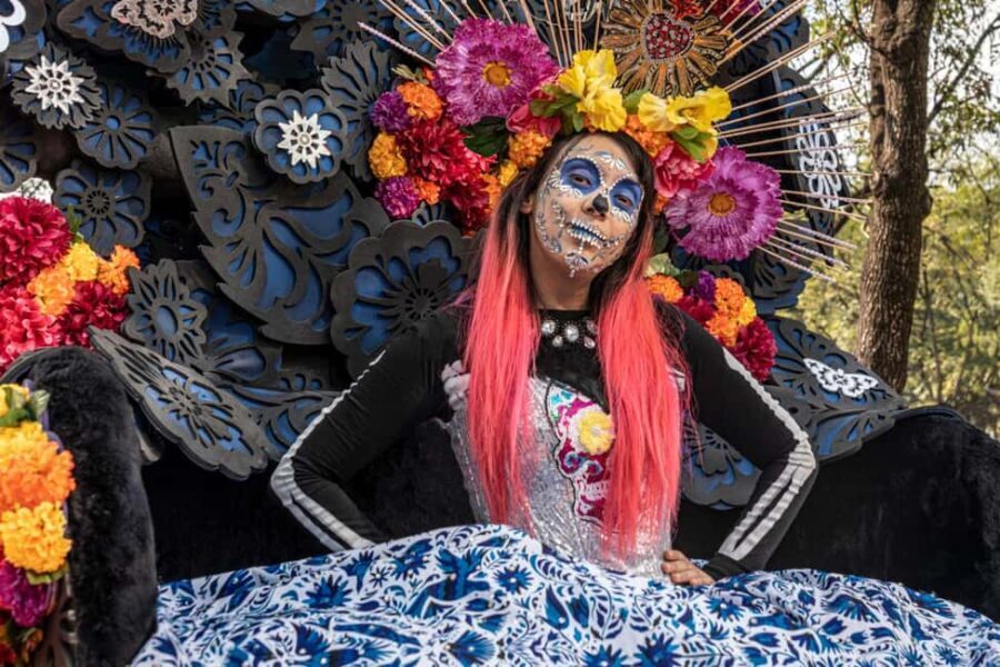 The Day of the Dead Private Tour in Mexico City - Who Is This Tour Best For?