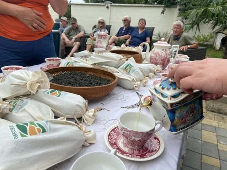 The Green Gold of Georgia - Practical Details & What to Know Before Booking  