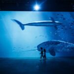 The Legend of the Titanic Immersive Exhibition in Zurich - FAQ