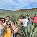 The Mezcal Journey - Transportation, Group Size, and Value