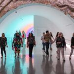 The Museum of Fine Arts, Houston Entry Ticket - Who Will Love This Experience?