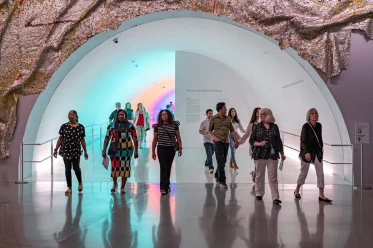 The Museum of Fine Arts, Houston Entry Ticket - Who Will Love This Experience?