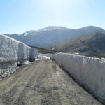 The Rocky Mountain National Park Winter Safari Tour - Who Will Benefit Most from This Tour?