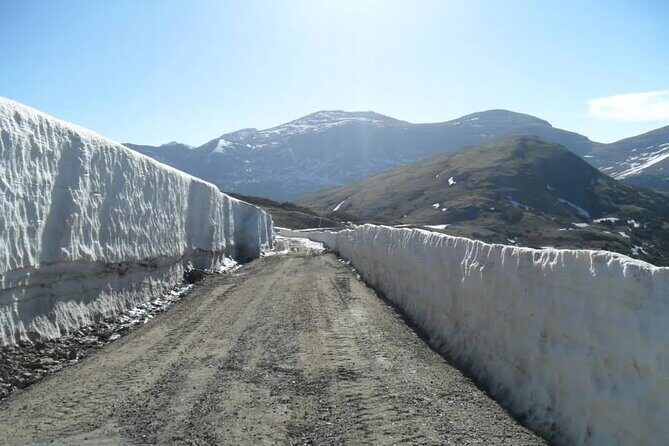 The Rocky Mountain National Park Winter Safari Tour - Who Will Benefit Most from This Tour?