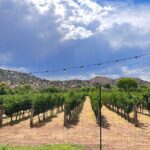 The Terrior Of The Verde Valley Wine Trail Tour - The Flexible Itinerary: Your Customizable Adventure