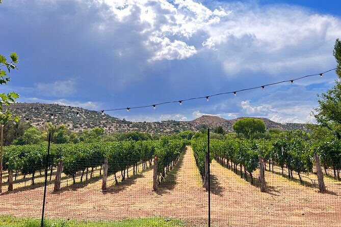 The Terrior Of The Verde Valley Wine Trail Tour - The Flexible Itinerary: Your Customizable Adventure