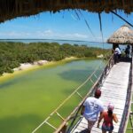 The Three Islands Tour Explore Holbox's Natural Wonders - Practical Details and Logistics