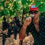 The Ultimate Wine Country Experience ( Private & All-Inclusive) - What’s Included and How it Adds Value