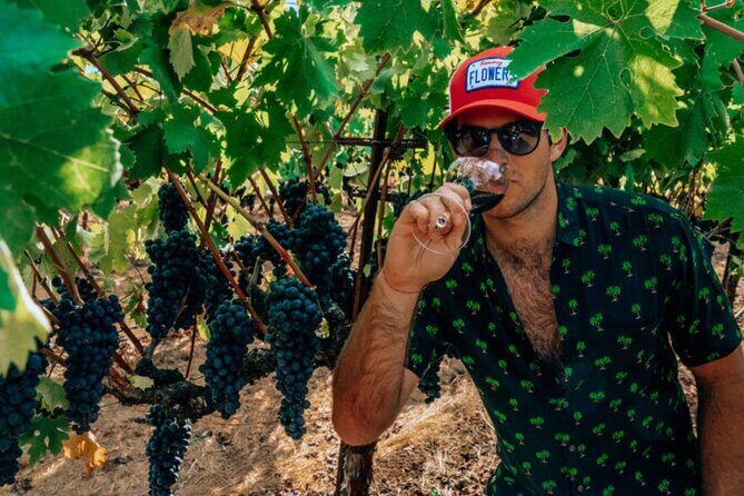 The Ultimate Wine Country Experience ( Private & All-Inclusive) - What’s Included and How it Adds Value