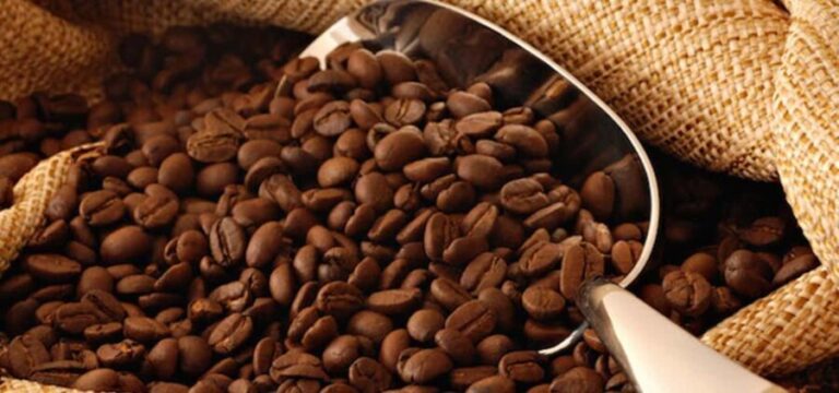 The World of Latte Art: Coffee from the Chiapas Creamy Heart - FAQs