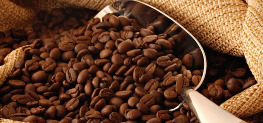 The World of Latte Art: Coffee from the Chiapas Creamy Heart - FAQs