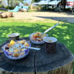 Thessaloniki Beach Activities with optional Transfer - Who Will Love This Experience?