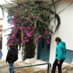 Thessaloniki Old Town Walking Tour-Culture-Nature-Plants - Dive into Mythology, Philosophy & Herbal Heritage