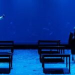 Thessaloniki: The life and legacy of Stratos Dionysiou - What to Expect from the Show