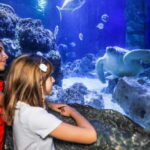 Ticket to SEA LIFE Konstanz - Who is this experience best suited for?