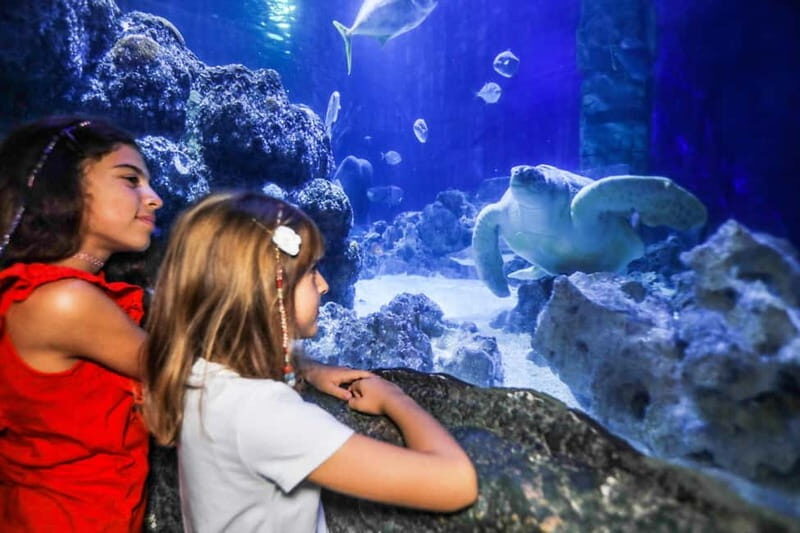 Ticket to SEA LIFE Konstanz - Who is this experience best suited for?