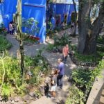 Tickets to Frida Kahlo Museum - Exploring the Itinerary in Detail