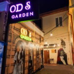 "Tirana After Dark: Nightlife Tour & Local Drinks" - What to Expect from the Experience