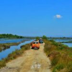 Tirana/Durres/Golem: Karavasta Lagoon Day Tour with Boat - What’s the Value?