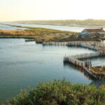 Tirana & Durres :Karavasta Lagoon & Apolonia with Breakfast - The Value of This Tour