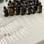 Tirana: The Art of Making a Perfume - What Sets This Workshop Apart