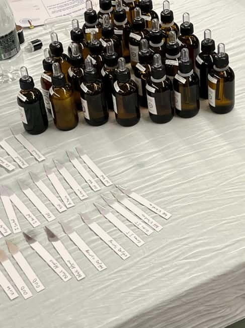 Tirana: The Art of Making a Perfume - What Sets This Workshop Apart