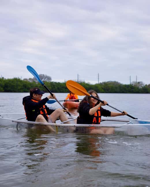 Titusville: Bioluminescent Clear Kayak Tour - What to Expect from the Tour