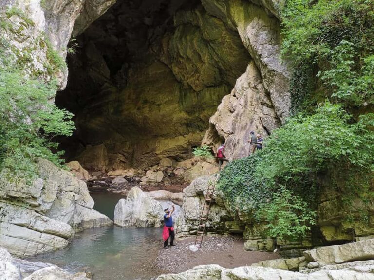 Tkibuli Day Trip with Wine & Tea Tasting from Kutaisi - Practical Details & Tips