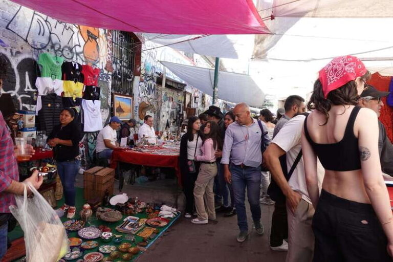 Tlatelolco and La lagunilla Market Mexico City Walking tour - An In-Depth Look at the Itinerary and Highlights