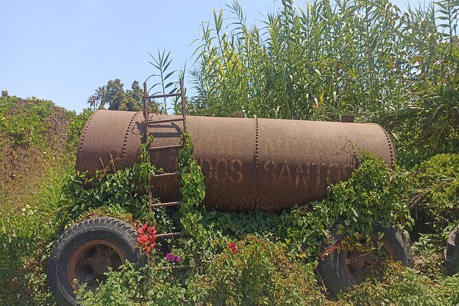 Todos Santos Treasure Hunt - Real Experiences and Insights