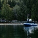 Tofino: Bear Watching Boat Tour with Nature Guide - Who Should Consider This Tour?