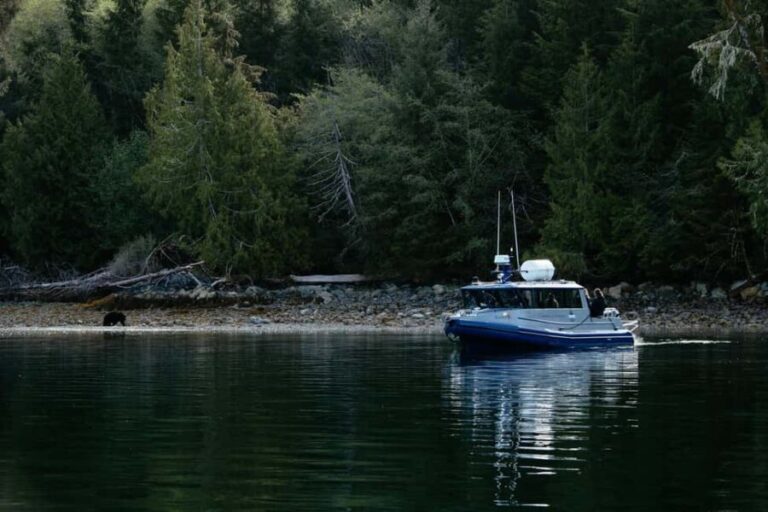 Tofino: Bear Watching Boat Tour with Nature Guide - Who Should Consider This Tour?