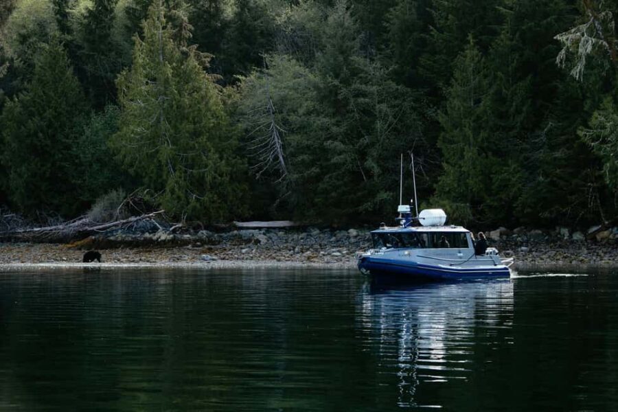 Tofino: Bear Watching Boat Tour with Nature Guide - Who Should Consider This Tour?