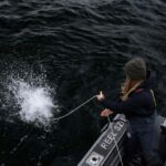 Tofino: Private Boat Tour with Big Tree Trail & Crabbing - The Practicalities: Price, Duration, and Whats Included