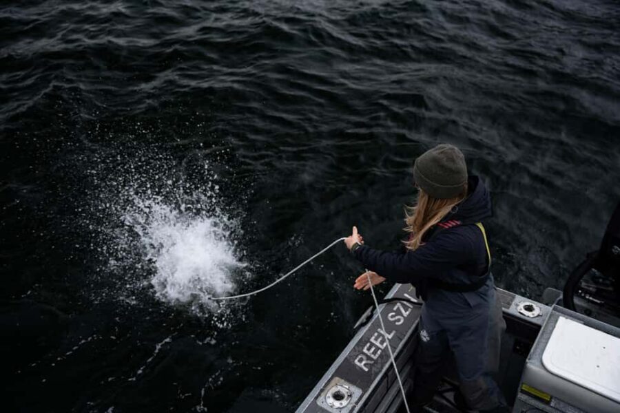 Tofino: Private Boat Tour with Big Tree Trail & Crabbing - The Practicalities: Price, Duration, and Whats Included