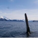 Tonsina Beach Hike with Seward Guided Hikes - Authentic Experience and Practical Details
