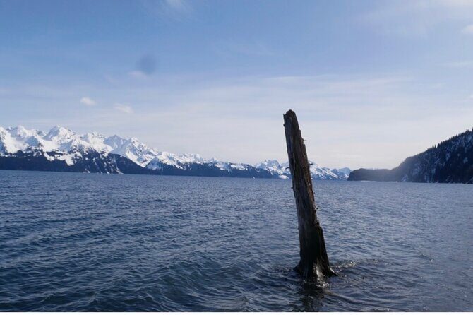Tonsina Beach Hike with Seward Guided Hikes - Authentic Experience and Practical Details