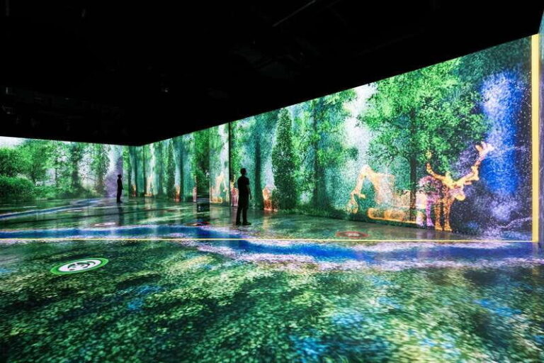 Toronto: Arcadia Earth, Immersive Experience Anytime Ticket - Practical Tips for Visiting