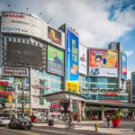 Toronto Couples Private Tour: Bustling Squares, Serene Parks - The Practical Details