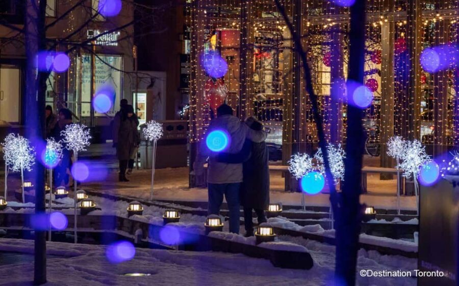 Toronto: Festive Lights Bus Tour - Is It Worth the Price?