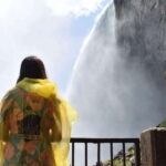 Toronto: Niagara Falls Guided Day Tour, Boat & Skylon Tower - What the Reviews Say