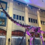 Toronto: Royal Ontario Museum Scavenger Hunt - FAQ