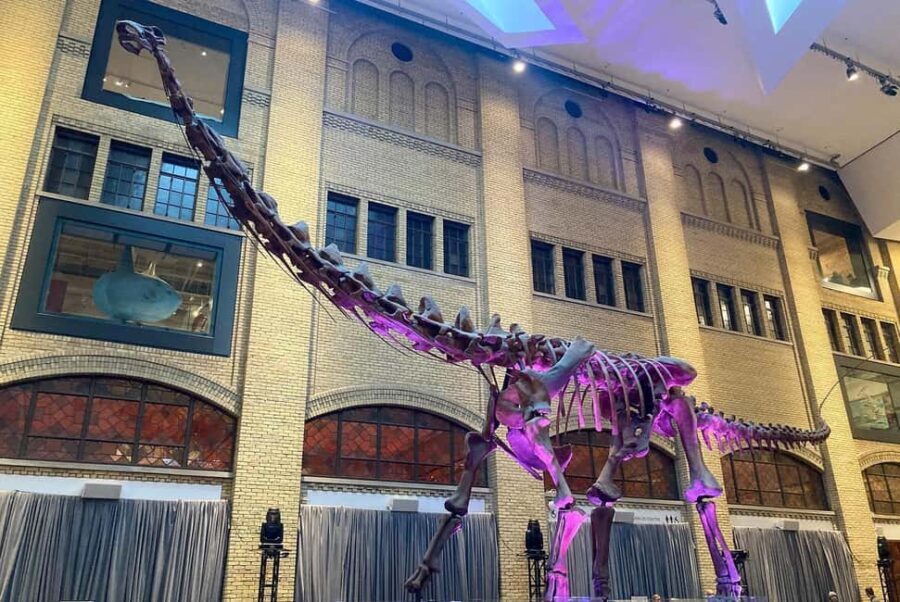 Toronto: Royal Ontario Museum Scavenger Hunt - FAQ  